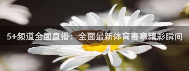 5+频道全面直播：全面最新体育赛事精彩瞬间