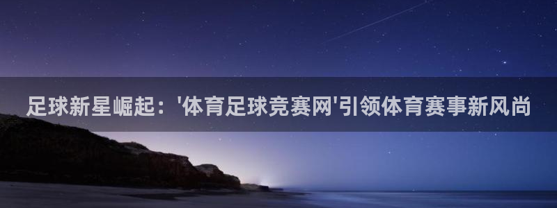 足球新星崛起：\'体育足球竞赛网\'引领体育赛事新风尚