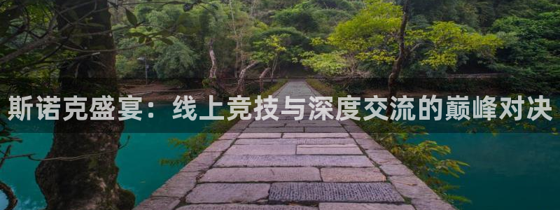 斯诺克盛宴：线上竞技与深度交流的巅峰对决
