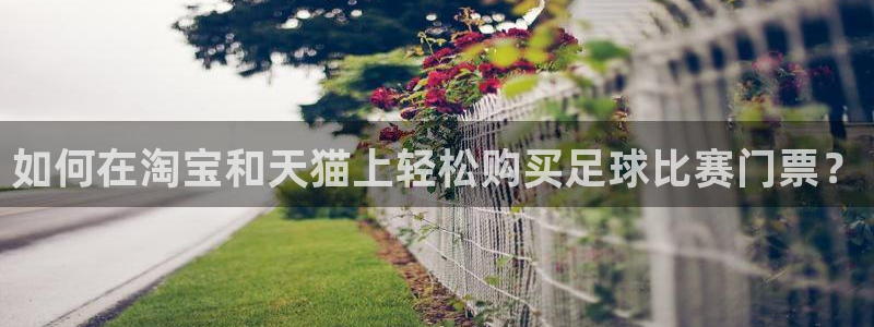 如何在淘宝和天猫上轻松购买足球比赛门票？