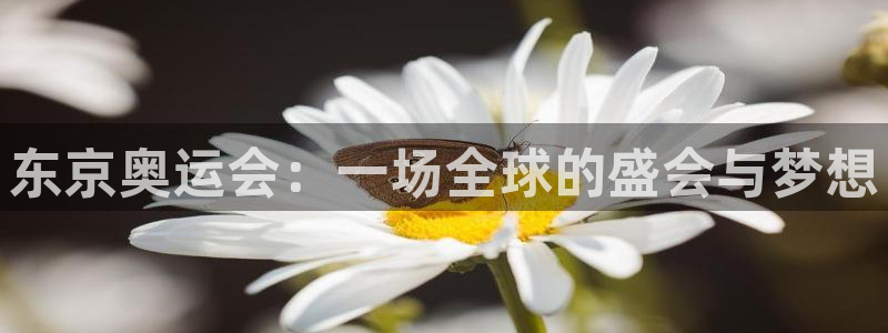 东京奥运会：一场全球的盛会与梦想