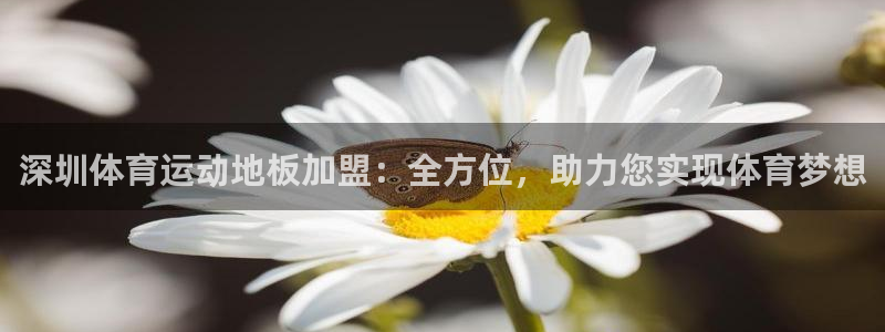 深圳体育运动地板加盟：全方位，助力您实现体育梦想