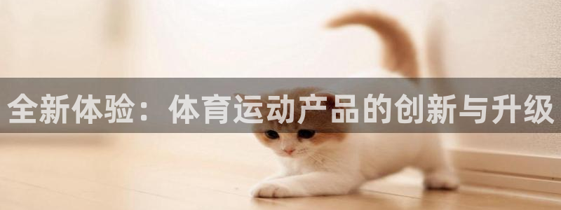 全新体验：体育运动产品的创新与升级