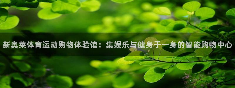 新奥莱体育运动购物体验馆：集娱乐与健身于一身的智能购物中心