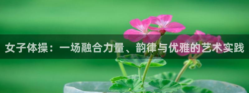 女子体操：一场融合力量、韵律与优雅的艺术实践