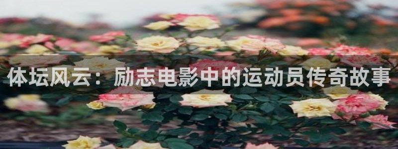 体坛风云：励志电影中的运动员传奇故事