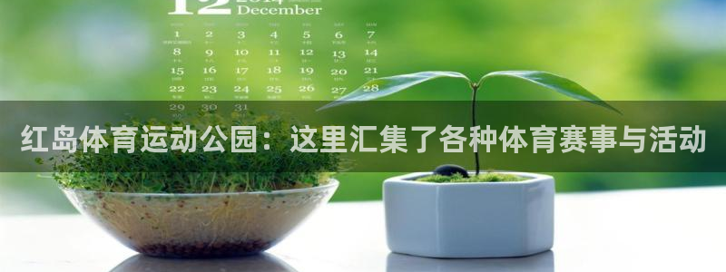 红岛体育运动公园：这里汇集了各种体育赛事与活动