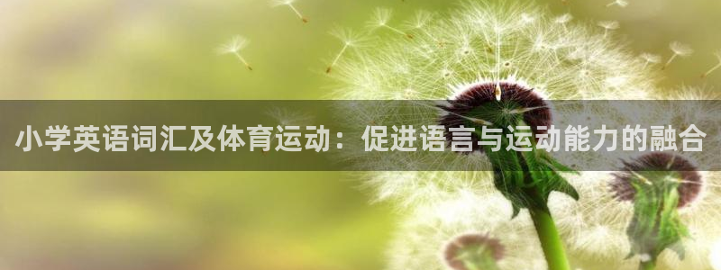小学英语词汇及体育运动：促进语言与运动能力的融合
