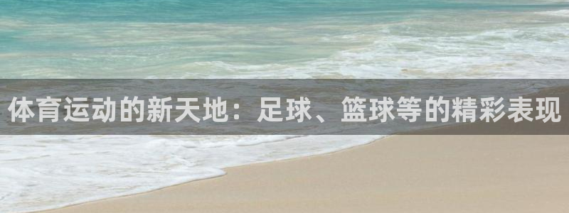 体育运动的新天地：足球、篮球等的精彩表现