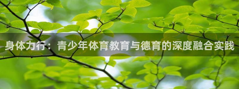 身体力行：青少年体育教育与德育的深度融合实践