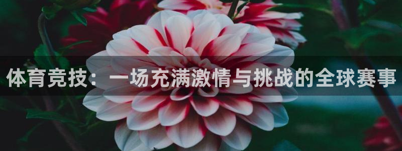 体育竞技：一场充满激情与挑战的全球赛事