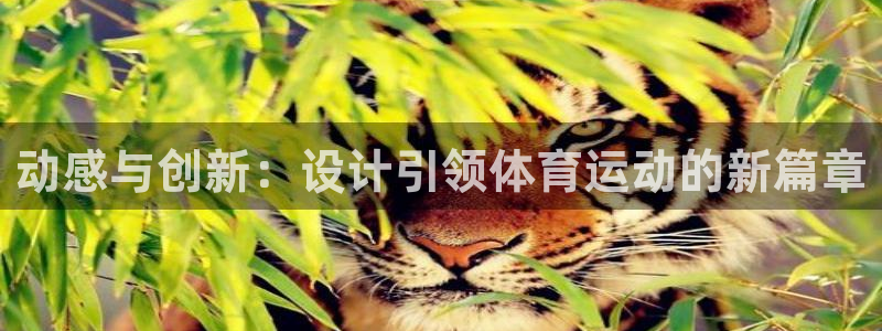 动感与创新：设计引领体育运动的新篇章