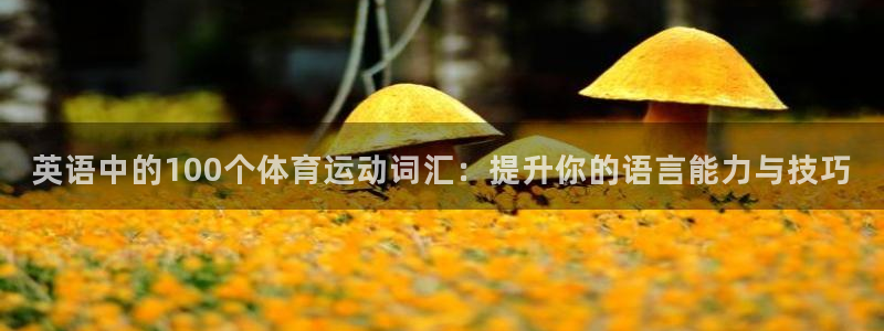 英语中的100个体育运动词汇：提升你的语言能力与技巧