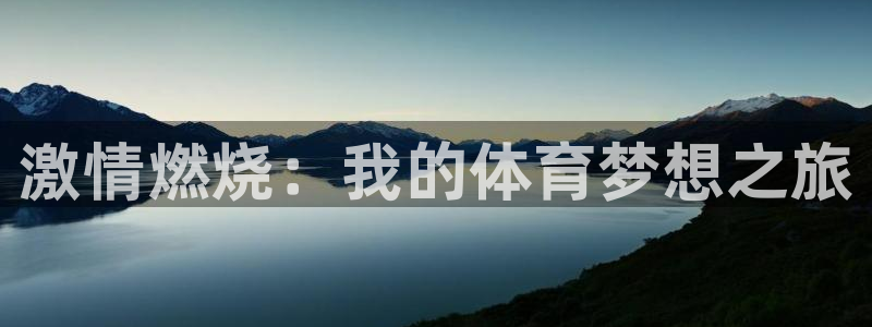 激情燃烧：我的体育梦想之旅