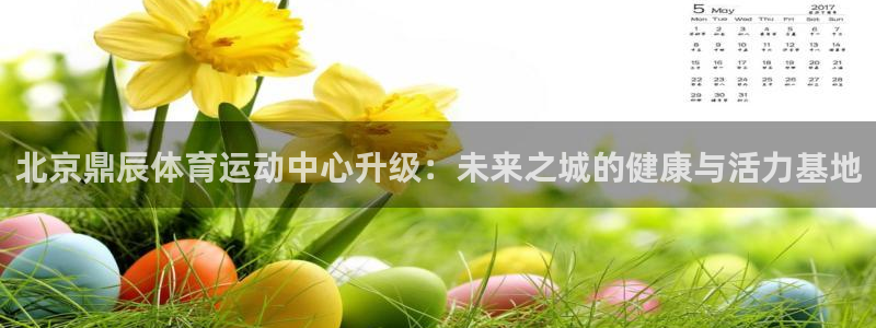 北京鼎辰体育运动中心升级：未来之城的健康与活力基地
