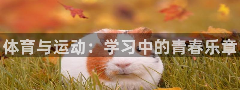 体育与运动：学习中的青春乐章