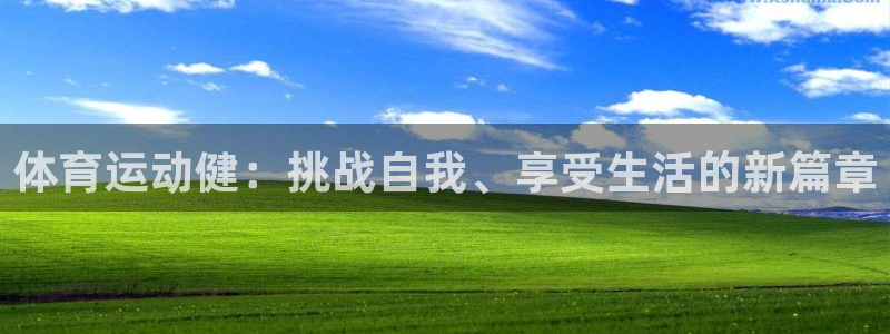 体育运动健：挑战自我、享受生活的新篇章