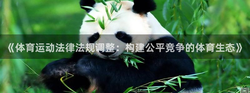 《体育运动法律法规调整：构建公平竞争的体育生态》