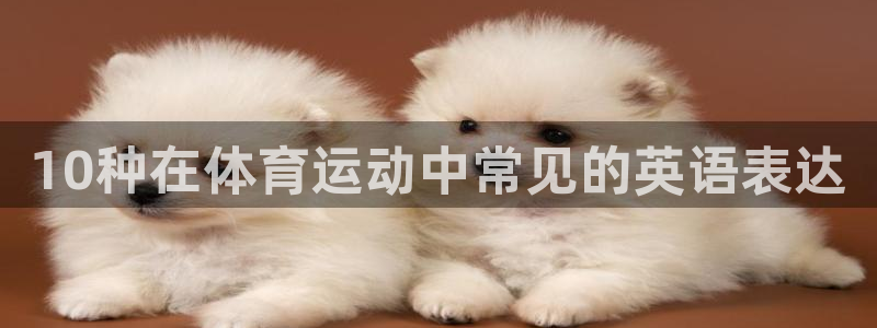 10种在体育运动中常见的英语表达