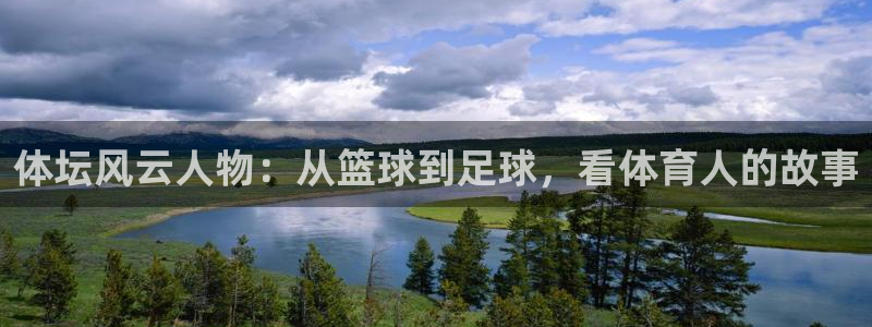 体坛风云人物：从篮球到足球，看体育人的故事